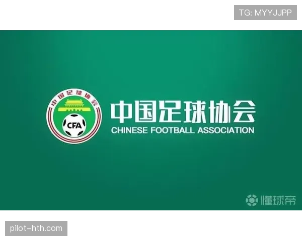 不当行为判罚:裁判判定黄牌与红牌的关键标准 不当行为判罚:裁判判定黄牌与红牌的关键标准